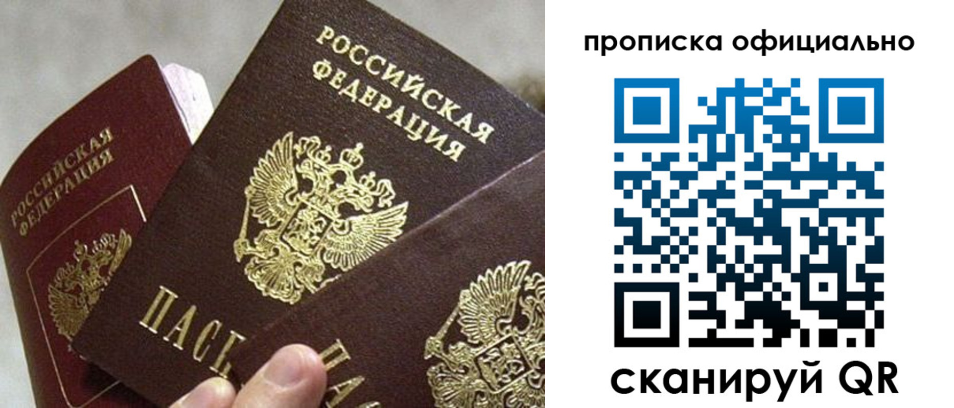 прописка гарантия в Апатитах